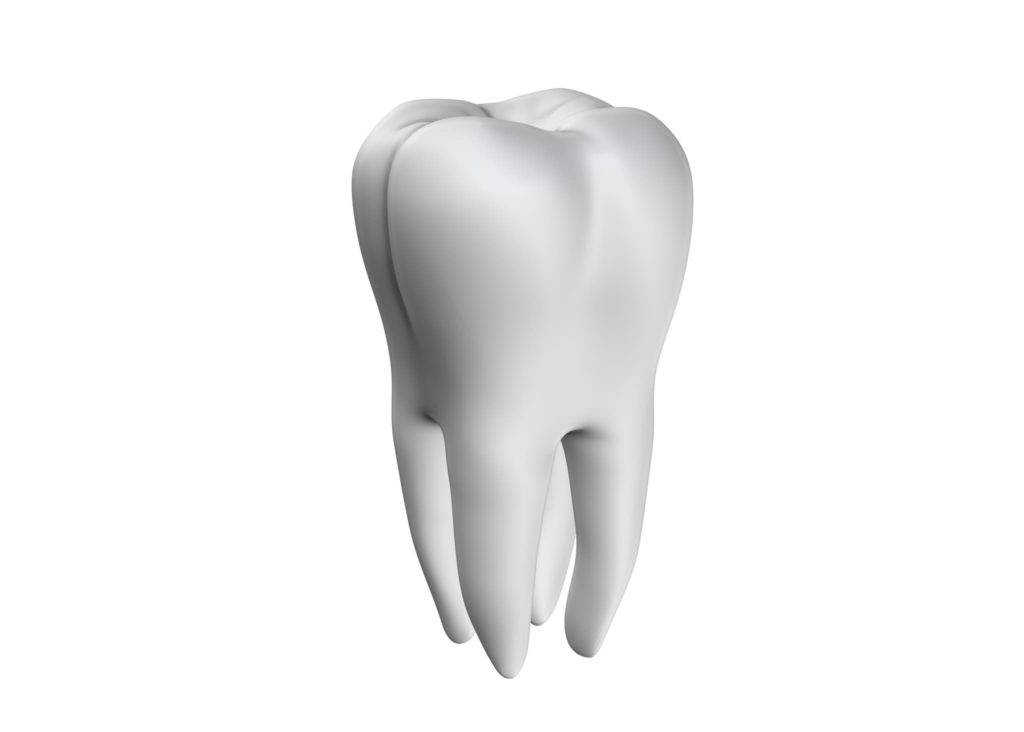 A white tooth on a white background